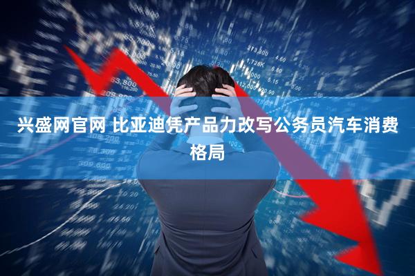 兴盛网官网 比亚迪凭产品力改写公务员汽车消费格局