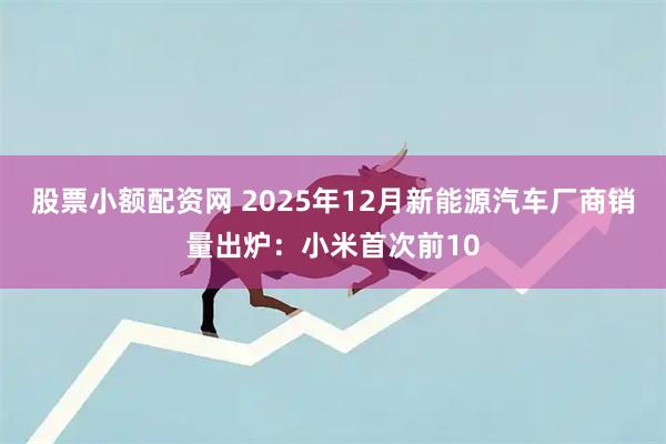 股票小额配资网 2025年12月新能源汽车厂商销量出炉：小米首次前10